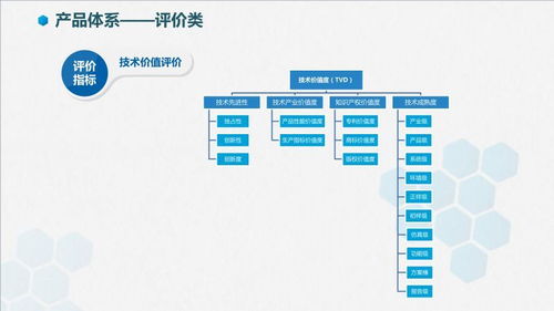智信九鼎技術(shù)價值評價 軟件技術(shù)推廣服務(wù)的專業(yè)賦能