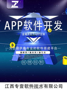 南昌軟件開發(fā)公司 技術(shù)創(chuàng)新與推廣服務(wù)的雙輪驅(qū)動(dòng)